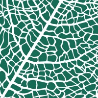 Fresh Ventures Studio logo