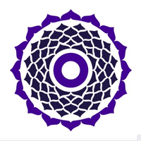 True Wealth Ventures logo