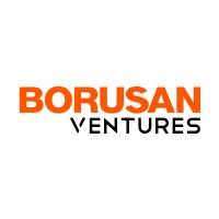 Borusan Ventures logo